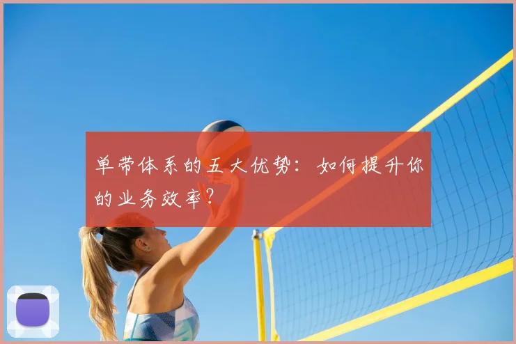单带体系的五大优势：如何提升你的业务效率？