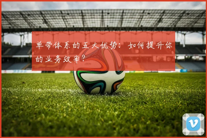 单带体系的五大优势:如何提升你的业务效率?